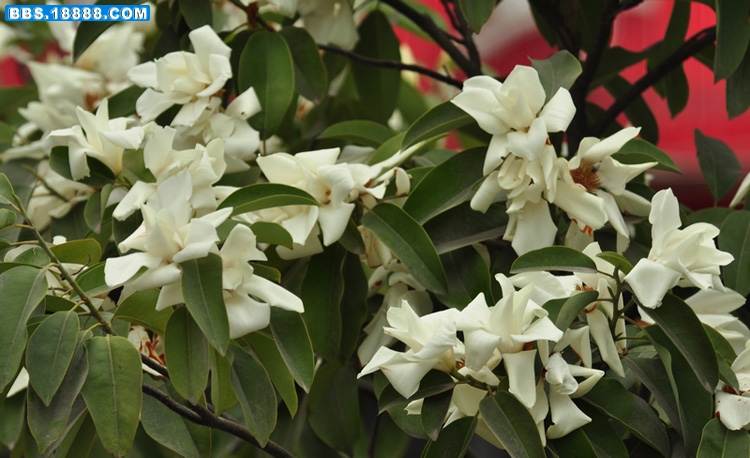2011.3.2 045.jpg