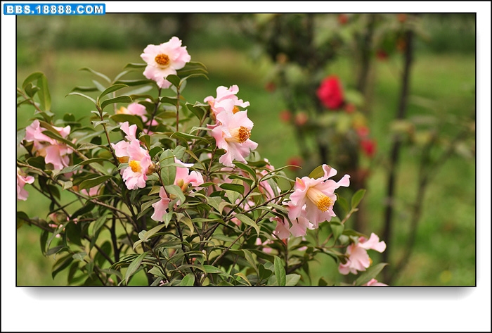 2011.3.5 074.jpg