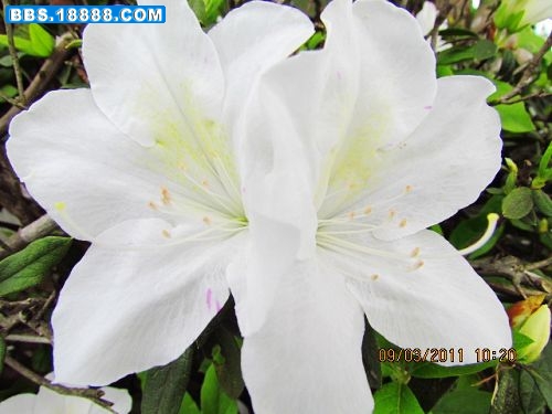 nEO_IMG_IMG_0924.jpg