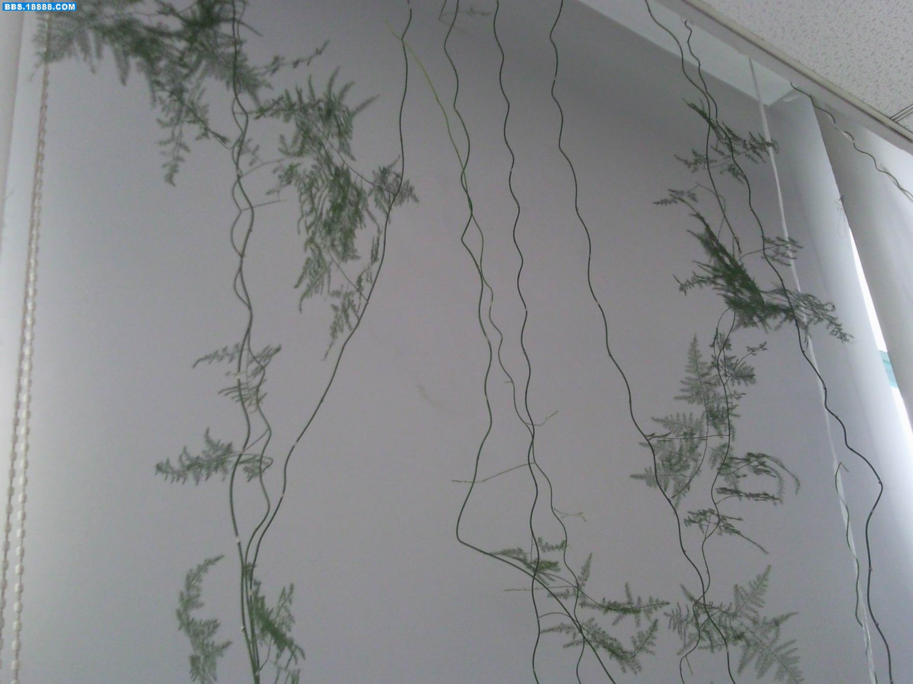 照片003.jpg
