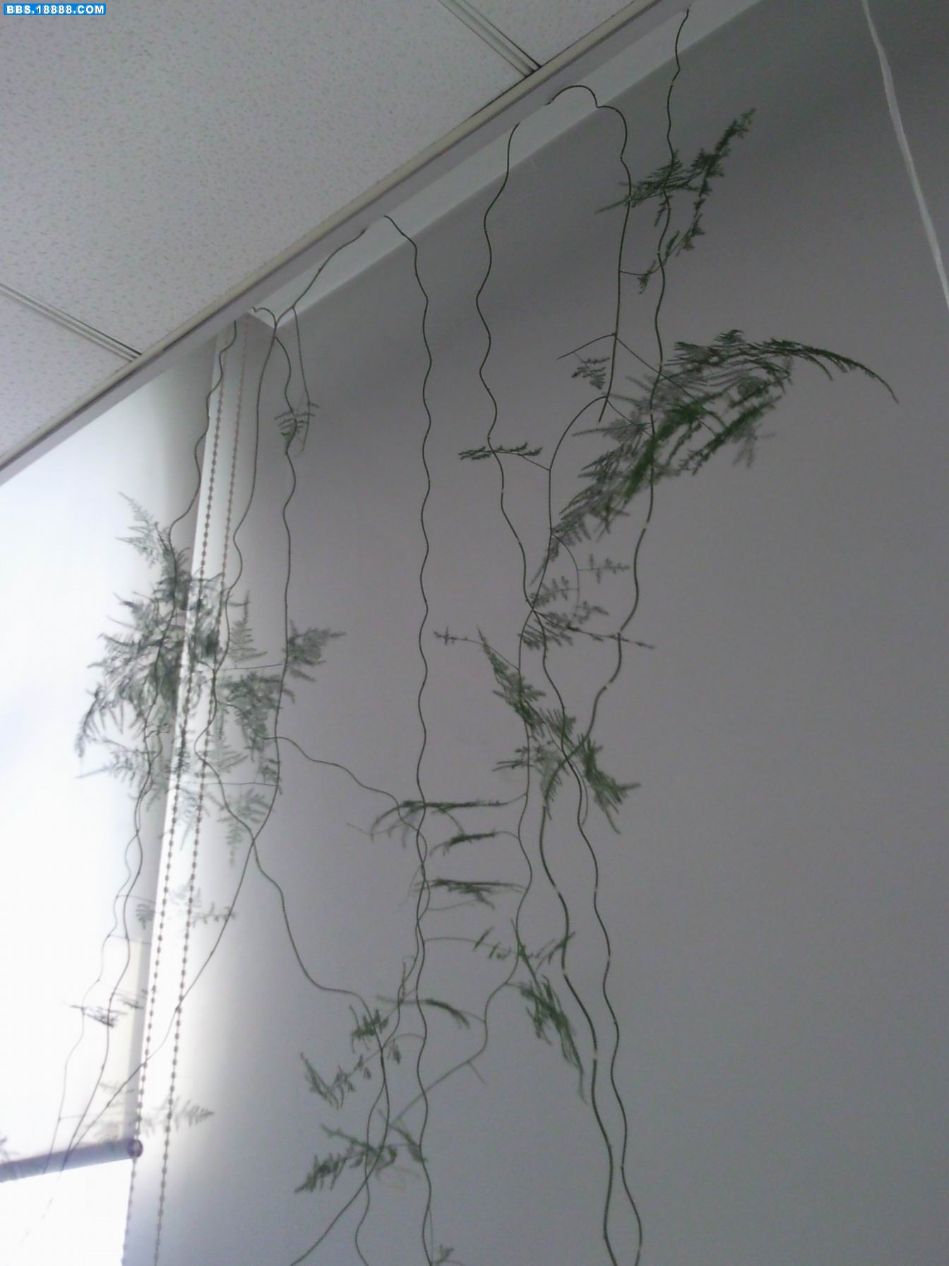 照片006.jpg