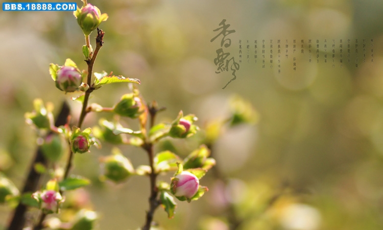 2011.3.17 071.jpg