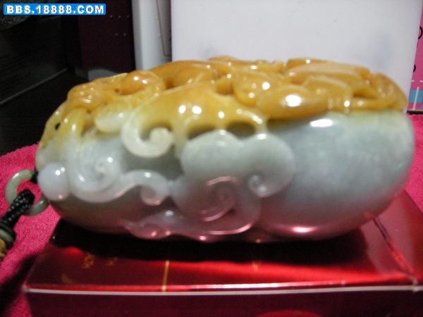 DSCN5492.JPG
