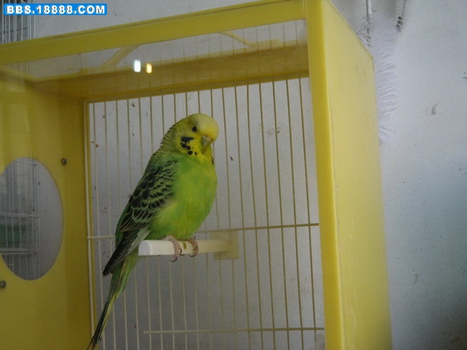 img_2115_调整大小.jpg