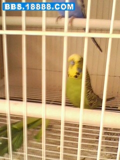 IMG0064A.jpg