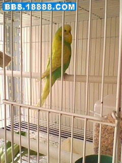 IMG0066A.jpg