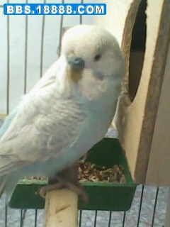IMG0170A.jpg