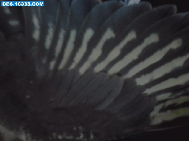 P060311_15.57_[02].jpg
