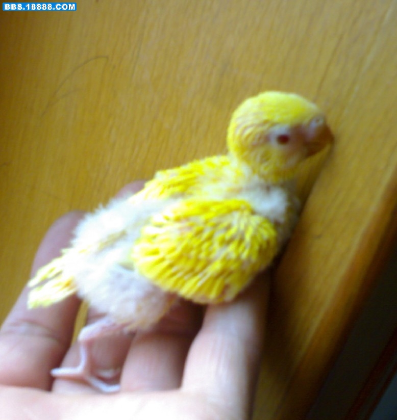 20110320爬.jpg