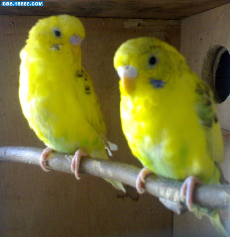 2011030802.jpg