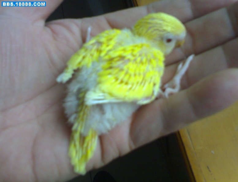 2011032003.jpg