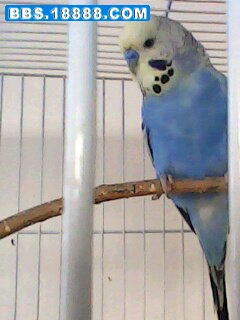 IMG0136A.jpg