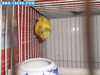 调整大小 DSCN0418.JPG