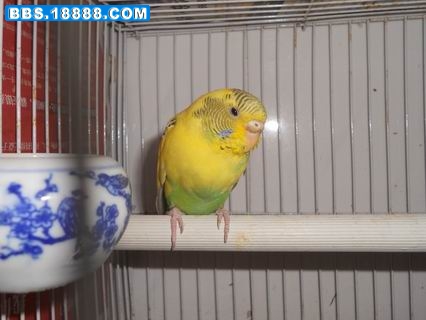 调整大小 DSCN0417.JPG