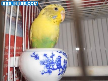 调整大小 DSCN0419.JPG
