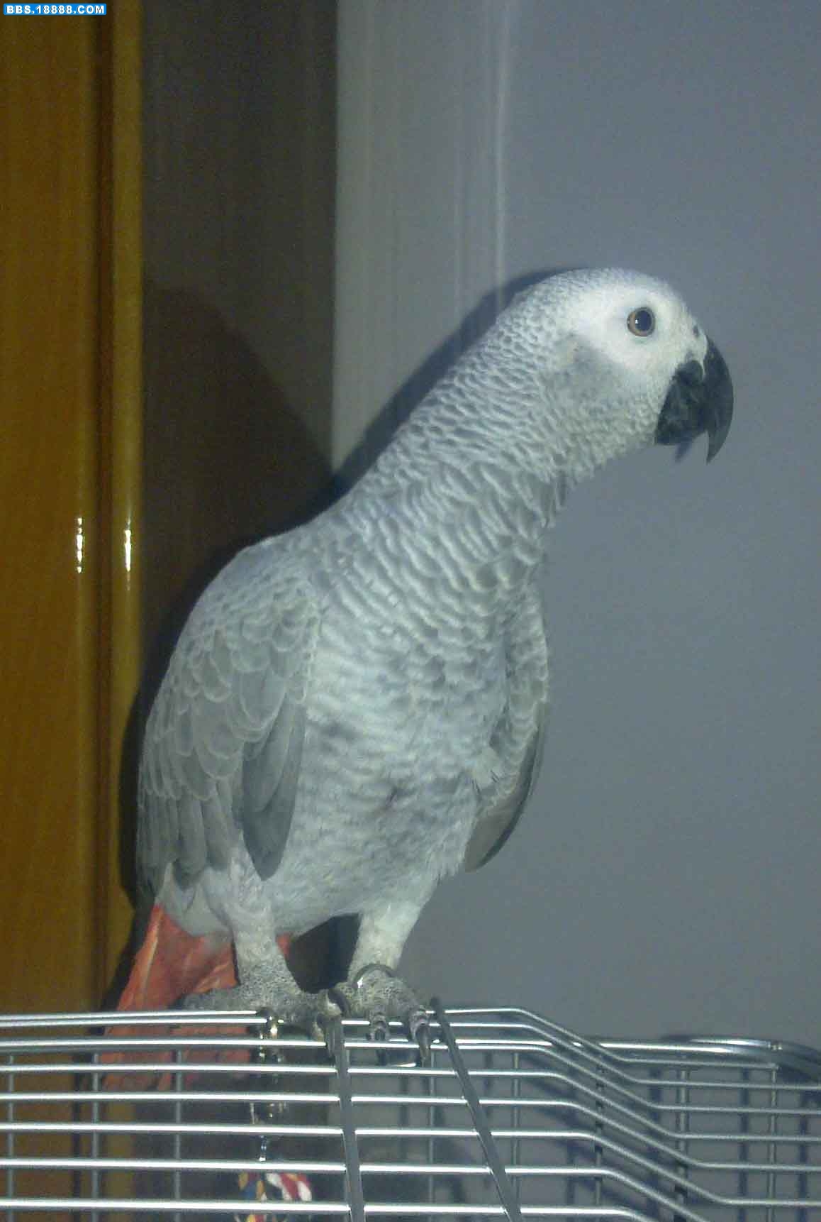20110320047.jpg