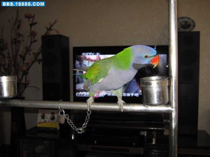 nEO_IMG_IMG_0160.jpg