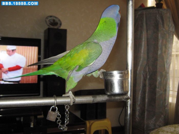 nEO_IMG_IMG_0151.jpg