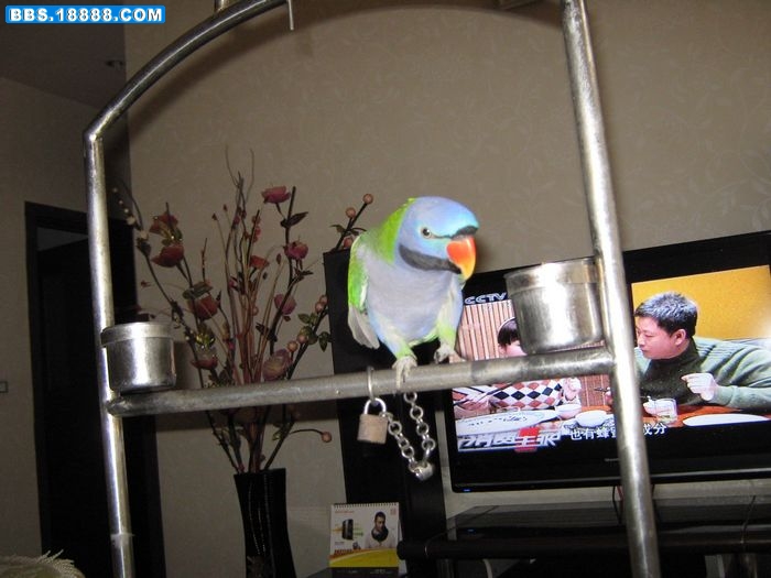 nEO_IMG_IMG_0159.jpg