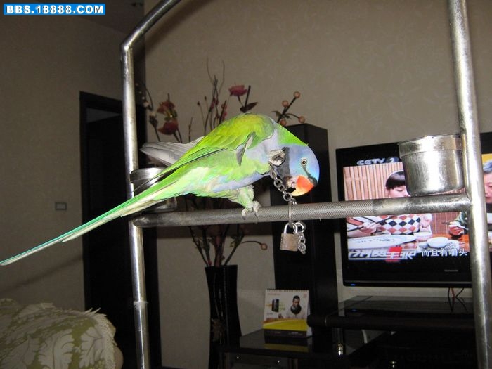 nEO_IMG_IMG_0157.jpg