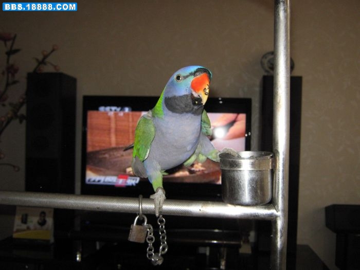 nEO_IMG_IMG_0152.jpg