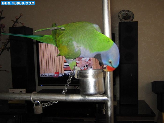 nEO_IMG_IMG_0147.jpg