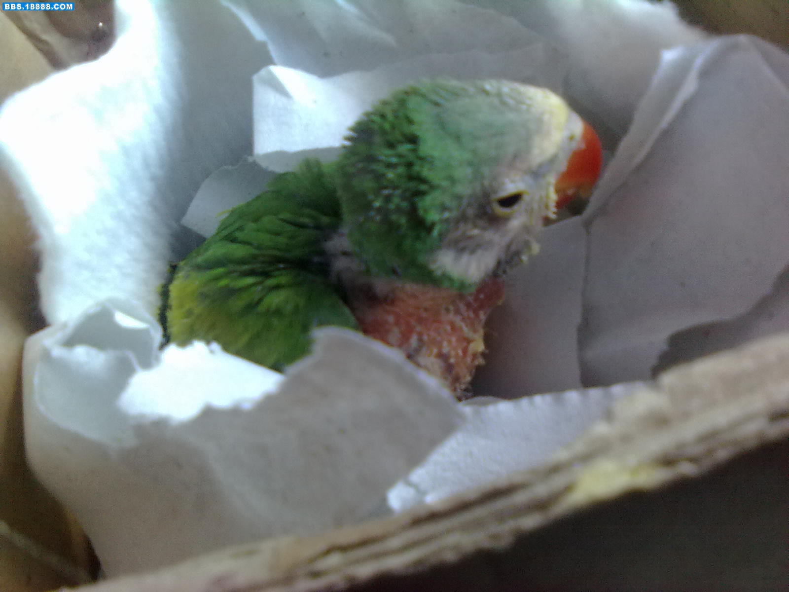 20110326531.jpg