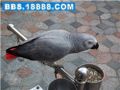 DSCF0922_副本_副本.jpg