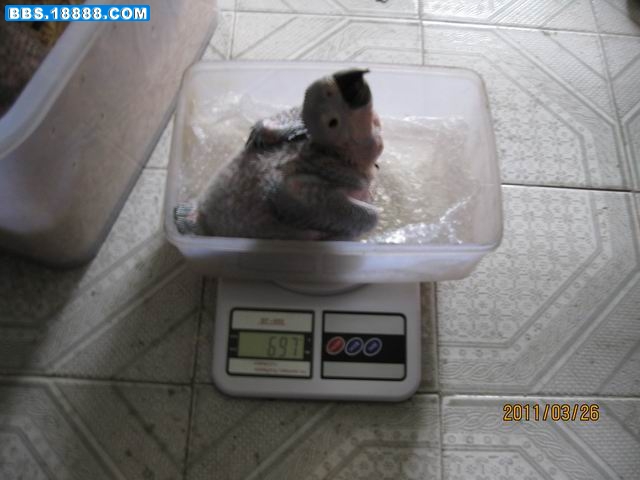 调整大小 IMG_2772.JPG