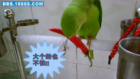 DSC00296_副本.jpg