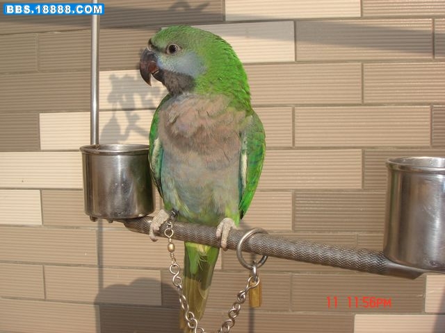 DSC00001.jpg