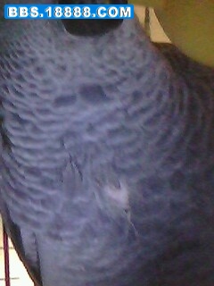 IMG0357A.jpg