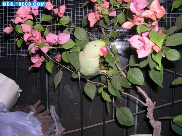 照片 268.jpg