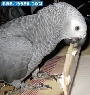 QQ031201.jpg