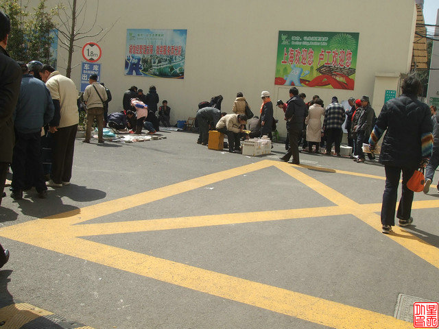 DSCF5366.JPG