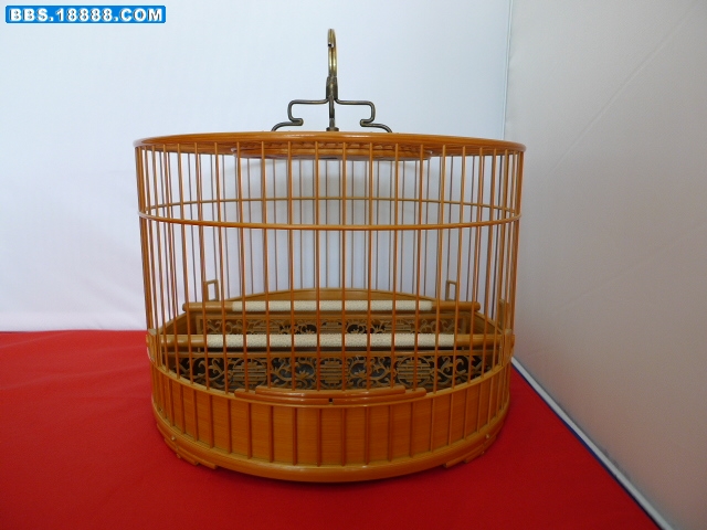 P1010743.JPG