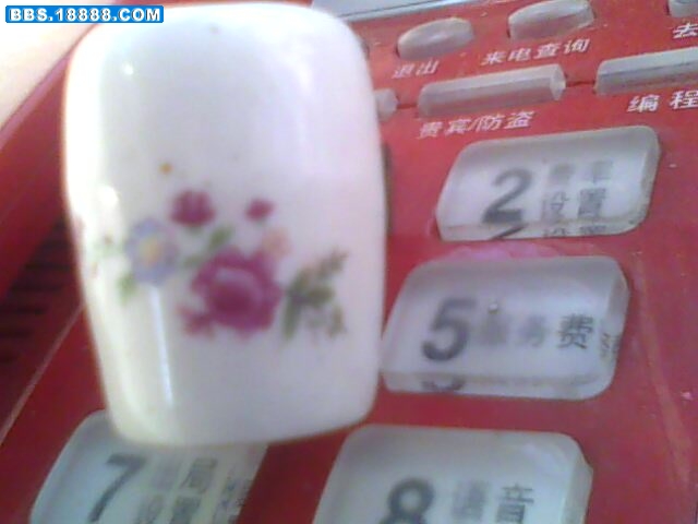 IMG0869A.jpg