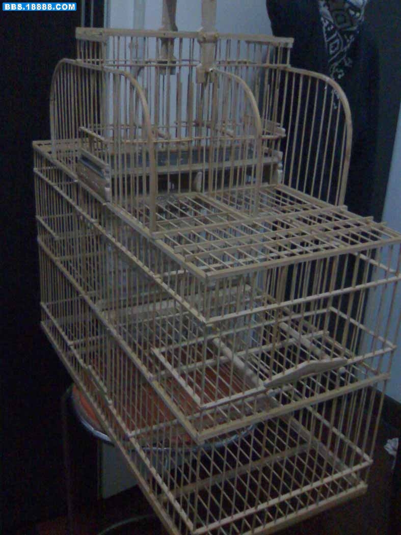 moto_0771.jpg
