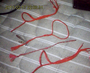 照片2011-02-17 22 06 31 718.jpg