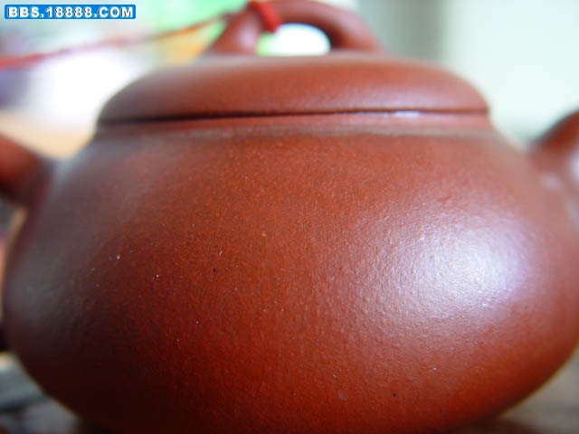 DSC08988-1.jpg