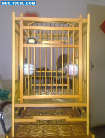 20110319153.jpg