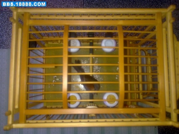 20110319155.jpg