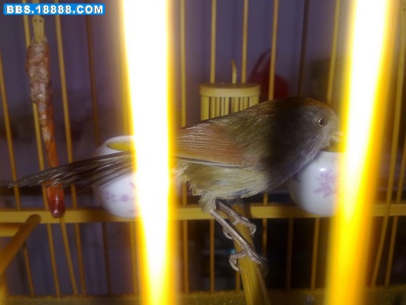 20110319167.jpg
