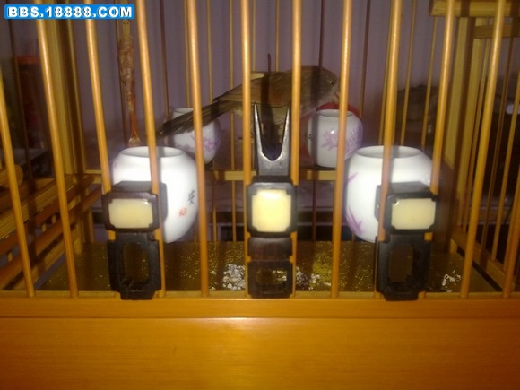 20110319156.jpg
