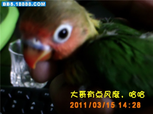 PICT0012_副本_副本.jpg
