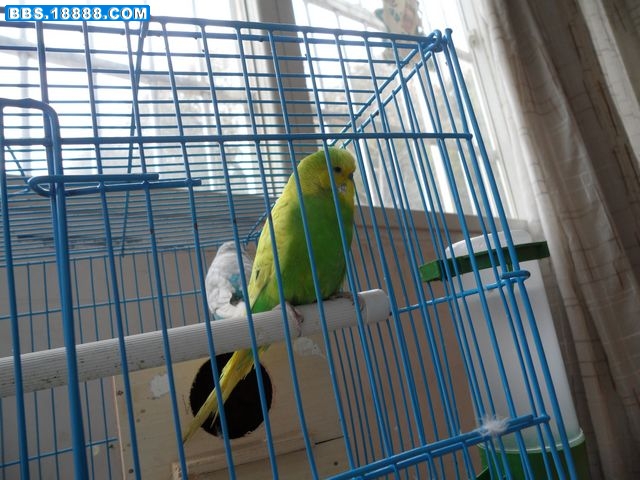 SAM_1178.jpg