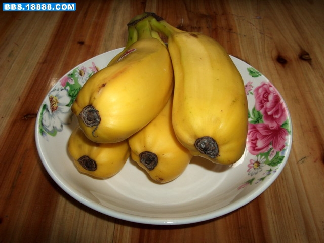 DSCF6561.jpg