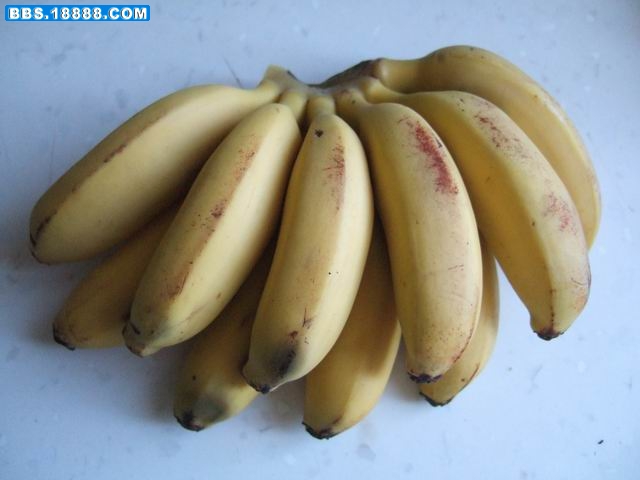 调整大小 DSCF5644.JPG