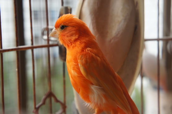 DSC01381_调整大小.JPG