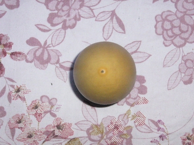 照片 1458.jpg